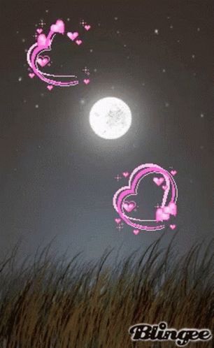 Moon Animated, Goodnight Gif, Moon Gif, Goodnight Love, Good Night I Love You, I Love You Gif, Love You Gif, Love Moon, Heart Gif