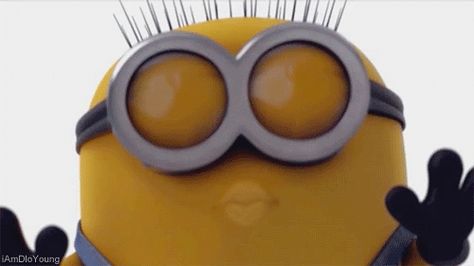 despicable me minions gif Happy Birthday Minions Gif, Minion Kiss, Kissing Facts, Minion Humour, Minion Gif, Happy Birthday Minions, Minions Love, Cute Minions, A Minion