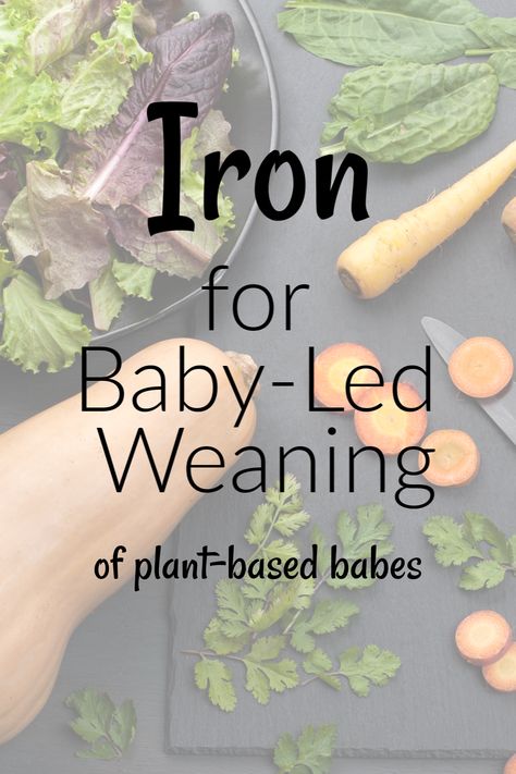 Plant Based Juniors Recipes, Plant Based Baby Meals, Black Bean Blw Recipe, Vegan Baby Led Weaning, Vegan Infant Meals, Plant Based Baby Led Weaning, Baby Led Weaning Broccoli Recipes, Baby Lead Weaning 4 Month, Baby Solid Food