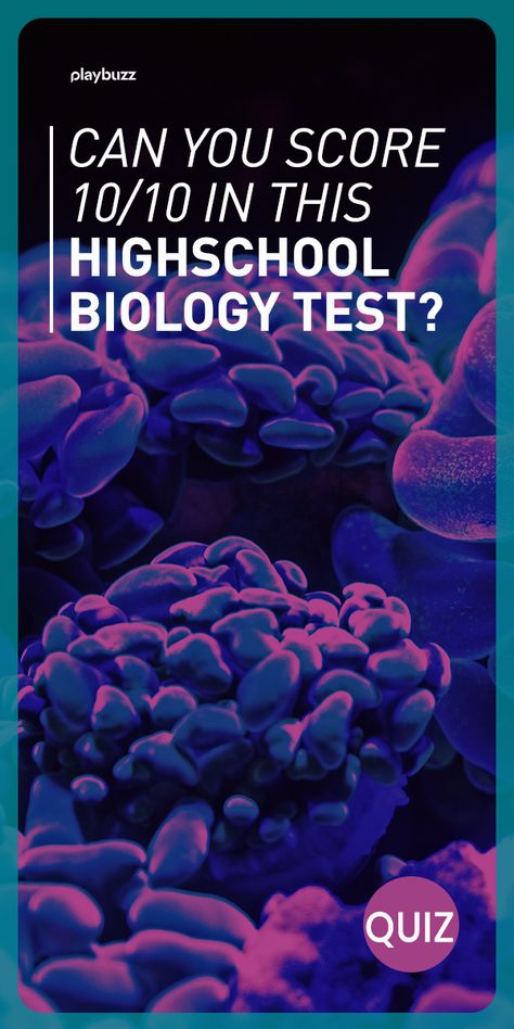 Can you get a perfect score on this high school biology test? High School Test, Biology Quiz, Science Quiz, Smart Quiz, Intelligence Quiz. Playbuzz Quiz Basic Biology, Biology Test, Science Websites, Hard Quiz, Biology Student, Science Trivia, School Test, Science Quiz, School Biology