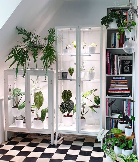 One of the more genius uses of IKEA's Fabrikör cabinet is completely hacking the cabinet into an indoor greenhouse. Voxtorp Ikea, Mini Serre, Indoor Greenhouse, Diy Greenhouse, Ikea Cabinets, Indoor Gardens, Plant Decor Indoor, Room With Plants, House Plants Indoor