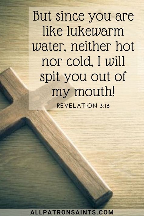 So then because thou art lukewarm, and neither cold nor hot, I will spue thee out of my mouth. KJV Inspirational Quotes About Success, My Mouth, Rich People, Patron Saints, Bible Verse, Verses, Bible Verses, Inspirational Quotes, Bible