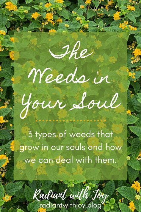 As I pulled weeds with my community a while ago, I reflected on how sin, bad habits, and the crosses that I bear are like weeds. In the garden of our souls, we have weeds that we need to pull and deal with in this weeding, we grow closer to God and realize how we’ll become holy. Read more in my Catholic faith blog, Radiant with Joy! Grow Closer To God, Intentional Community, Pulling Weeds, Faith Blogs, Closer To God, My Community, Garden Quotes, Grow Together, Bad Habits