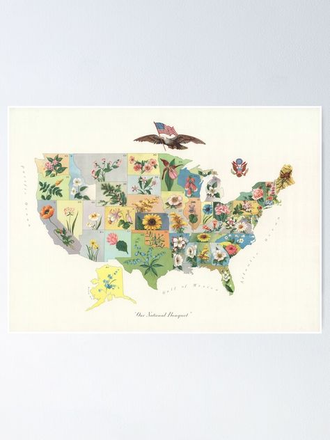 Us Map Aesthetic, Floral Map, Flower Chart, Pictorial Maps, Unique Maps, Art Carte, Map Decor, Old Map, Flower Map