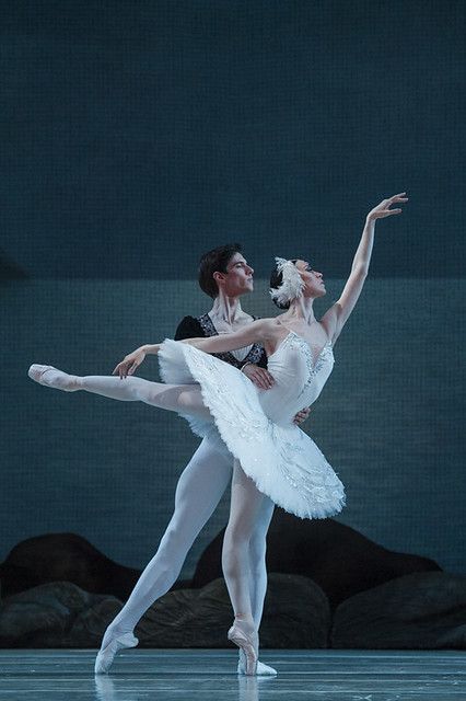 Xander Parish, Viktoria Tereshkina | Mariinsky Ballet: Swan … | Flickr Ballet Couple, Ballet Swan Lake, Swan Lake Ballet, The Royal Opera House, Ballet Pictures, Royal Opera House, Ballet Beauty, Dance Photography Poses, Ballet Performances