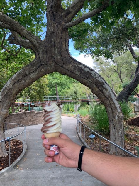 Gilroy gardens Gardens Aesthetic, Gilroy Gardens, Fairy Aesthetic, Wood Watch