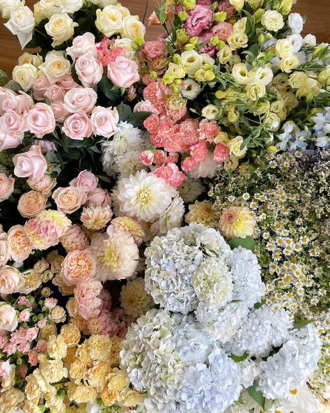 Soft Colors Aesthetic, Soft Spring Aesthetic, Girly Flowers, Flower Boquet, Flowers Pastel, Girly Pop, Flower Guide, Nothing But Flowers, Soft Aesthetic