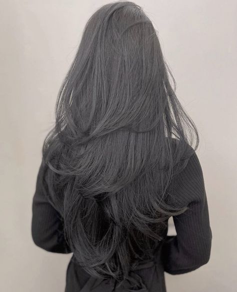 Long Black Colored Hair Hairstyles, Jet Black Hair Long Layers, Long Black Hair With Lots Of Layers, Haircuts For Long Black Hair Straight, Long Layers On Black Hair, Long Hair Layers Black, Long Layers With Face Framing Pieces Black Hair, Layers Long Black Hair, Long Layered Haircuts Black Hair