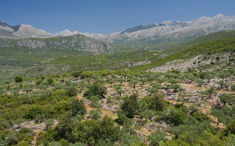 Greek mountain landscape, Peloponnese Photo from Kambos in Messinia | Greece.com Voyager Aesthetic, Greece Mountains, Hunger Games Arena, Sun And Shadow, France Winter, Greece Landscape, Greek Mountains, Greek Warriors, Greece Villa