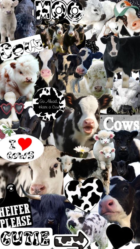 Pet Cows, Cute Iphone Wallpaper Tumblr, Cow Wallpaper, Cute Images For Wallpaper, Cow Print Wallpaper, Cute Home Screen Wallpaper, Cutee Animals, Flip Book Animation