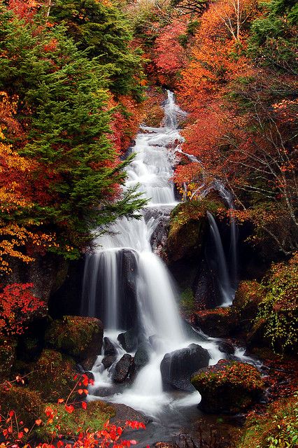 Ryuzu no taki (waterfalls), tochigi, Japan Could this be any more beautiful?! It's awe-inspiring. Tochigi Japan, Kolam Koi, Japan Landscape, Image Nature, Water Falls, Travel Japan, Autumn Scenes, Water Photography, Autumn Scenery