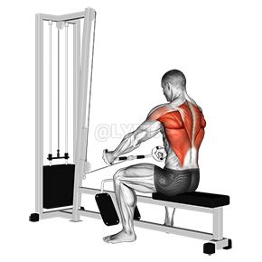 Standing Row, Seated Row, Back Strengthening Exercises, Rowing Machine Workout, Inverted Row, Rowing Workout, Cable Workout, Barbell Row, Cable Row