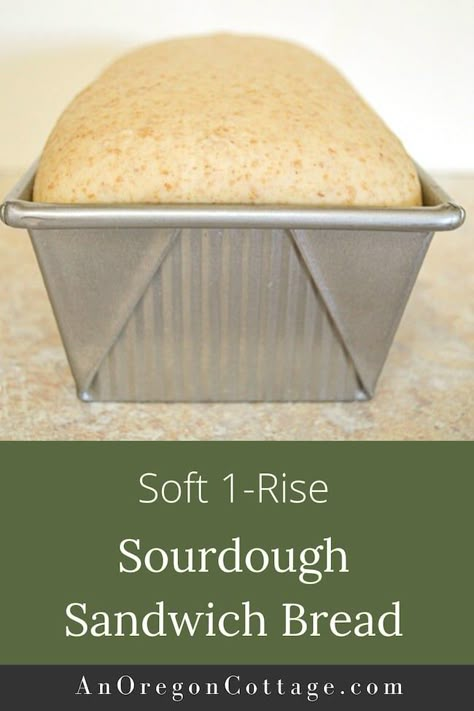 Here is one of the best recipes you'll find for an easy soft sourdough sandwich bread that's made 100% from starter with no yeast added! Made with part whole wheat, the eggs and milk keep the crumb tender. Choose a one-rise, one day method or let ferment longer overnight in the fridge. No Yeast, Soft Sourdough Sandwich Bread, Sourdough Sandwich Bread Recipe, Sourdough Sandwich Bread, Recipe Using Sourdough Starter, Sourdough Bread Starter, Dough Starter, Sourdough Bread Sandwiches, Sourdough Starter Discard Recipe