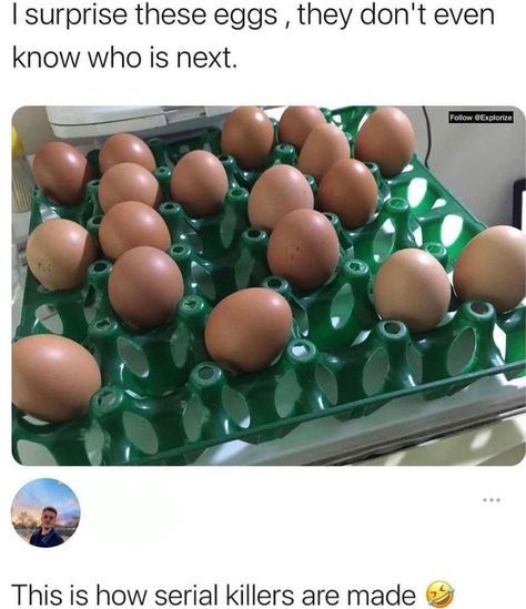 Picking Eggs, Chaotic Evil, Who Is Next, Funny Picture, Hysterically Funny, Really Funny Memes, Funny Short Videos, Bones Funny, Funny Laugh