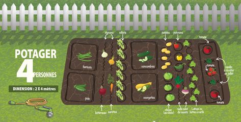 Plan Potager Permaculture, Plan Potager, Greenhouse Farming, Potager Garden, Permaculture Gardening, Permaculture Design, Food Garden, Nature Garden, Garden Boxes