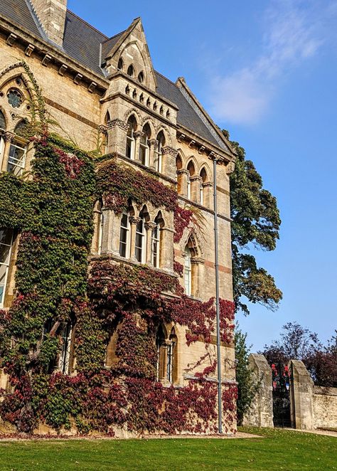 Cambridge Motivation, Oxford Campus, Christ Church Oxford, Dream University, Academic Aesthetic, England Aesthetic, Queen's University, College Aesthetic, New College