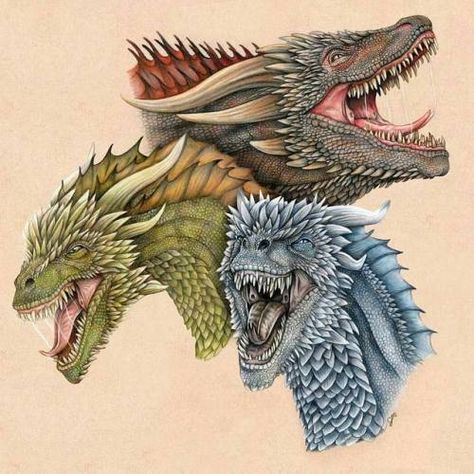 Regranned from @juliannamaston -  All 3 together! Viserion... Ice Artwork, Game Of Thrones Drawings, Dessin Game Of Thrones, Drogon Game Of Thrones, Game Of Thrones Tattoo, Game Of Thrones Books, Game Of Thrones Artwork, Game Of Thrones Dragons, Got Game Of Thrones