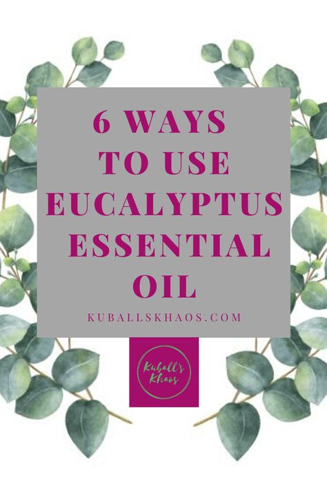 How to Use Eucalyptus Essential Oil - Kuball's Khaos Uses For Eucalyptus Essential Oil, How To Use Eucalyptus Essential Oil, Eucalyptus Essential Oil Uses, Eucalyptus Oil Benefits, Eucalyptus Oil Uses, Heal Wounds Faster, Essential Oil Chart, Essential Oil Mixtures, Oils For Sinus