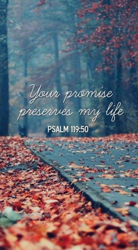 Psalm 119 50, Beautiful Bible Verses, Ayat Alkitab, Psalm 119, Biblical Verses, Christian Bible Verses, Inspirational Bible Quotes, Biblical Quotes, Bible Words