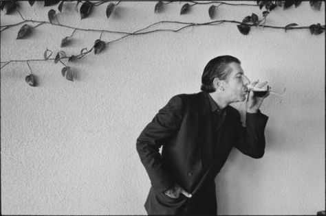 Adam Cohen, Leonard Cohen, Tell A Story, Photo Story, Flower Photos, Cool Photos, Not Found, Wine, Glass