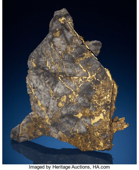 Native Gold in Quartz Vein. Red Lake Gold Mine, Dome Township, | Lot #73212 | Heritage Auctions Gold Mining Equipment, Gold Specimens, Gold Crowns, Natural Gold Nugget, Gold Deposit, Nature Science, Gold Prospecting, Red Lake, Metal Detectors