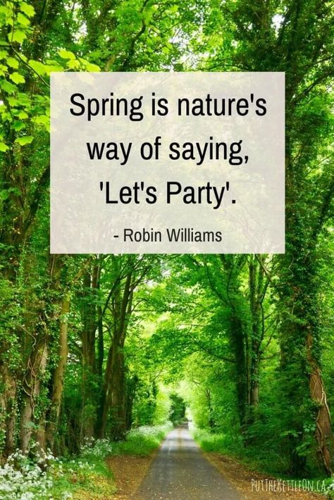 Seasons Quotes, Spring Sayings, Nature Benefits, Inspirational Uplifting Quotes, Spring Lunch, Spring Quotes, Pinterest Photography, Essential Oils For Sleep, Profound Quotes