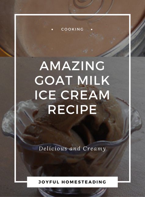 What Can I Make With Goat Milk, Goat Cheese Ice Cream Recipe, Goat Milk Whipped Cream, Goats Milk Yogurt Recipe, Goat Milk Ice Cream Recipe, Things To Make From Goats Milk, Goat Ice Cream, Goats Milk Ice Cream Recipe, Goat Milk Sour Cream