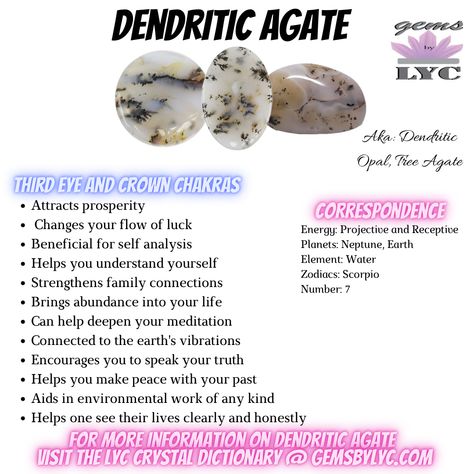 Dendritic Opal Crystal Meaning, Dendritic Opal Meaning, Dendritic Agate Meaning, Orca Agate Meaning, Holistic Witch, Agate Types, Types Of Agate, Crystal Cards, Crystal Identification