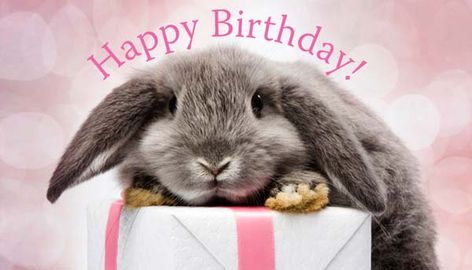 Funny Happy Birthday Pictures, Happy Birthday Drawings, Birthday Bunny, Happy Birthday Illustration, Bunny Images, Happy Birthday Vintage, Cute Happy Birthday, Birthday Illustration, Bunny Birthday