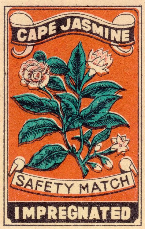 Etiquette Vintage, Weekly Inspiration, Matchbook Art, Matchbox Art, Safety Matches, Vintage Packaging, Design Fields, Japanese Graphic Design, Vintage Graphic Design