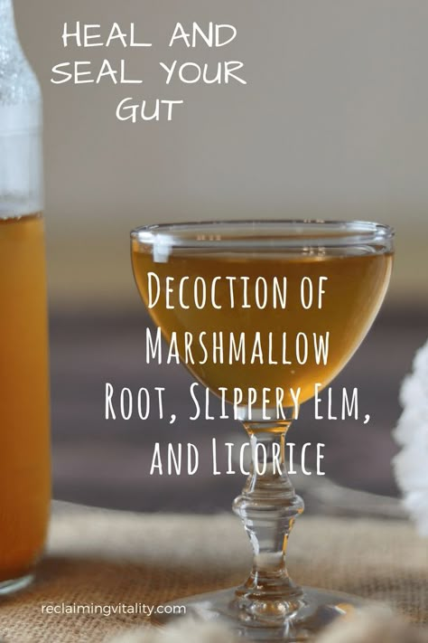 Slippery Elm Tea, Medicine Recipes, Slippery Elm Bark, Herbal Medicine Recipes, Slippery Elm, Marshmallow Root, Herbal Tinctures, Herbal Recipes, Herbal Apothecary