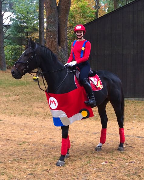 Horse Fancy Dress Costume, Horse Halloween Ideas, Horse Fancy Dress, Mario Kart Costumes, Mario Halloween Costumes, Wayzata Minnesota, Mario Halloween, Horse Halloween Costumes, Mario Costume