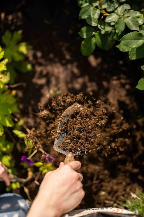 Soil Logo, Coco Peat, Gardening Photography, Organic Compost, Soil Testing, New Century, Material World, Small Business Branding, Potting Soil