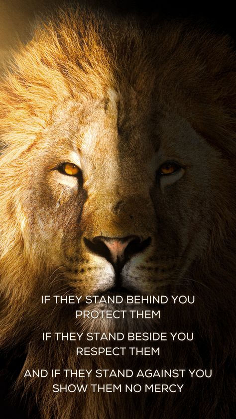 📌IF THEY STAND BEHIND YOU PROTECT THEM 📌IF THEY STAND BESIDE YOU RESPECT THEM 📌AND IF THEY STAND AGAINST YOU SHOW THEM NO MERCY #trommedia #dailymotivation #mindset If They Stand Behind You Protect Them Quote, If They Stand Behind You Protect Them, Lion Motivation, Leo Aesthetic, Stand Quotes, Show No Mercy, Independent Quotes, Your Vibe Attracts Your Tribe, Motivational Art Quotes