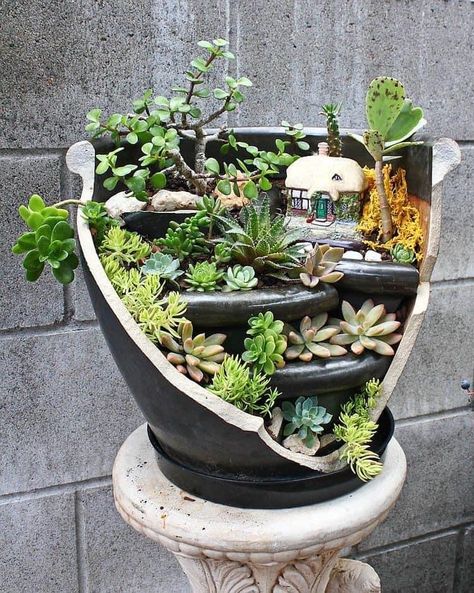 Found in a comment in a garden group… but not attributed to the commenter. Broken Pot Garden, Mini Cactus Garden, Kaktus Dan Sukulen, Fairy Garden Pots, Succulent Garden Design, Fairy Garden Designs, Fairy Garden Crafts, Pot Garden, Succulent Garden Diy