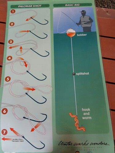 How to tie on a fish hook How To Bait A Hook, Tie A Fishing Hook, Tying Fishing Knots, Palomar Knot, Fishing Line Knots, Fly Fishing Knots, Fishing Hook Knots, Hook Knot, Fishing Stuff