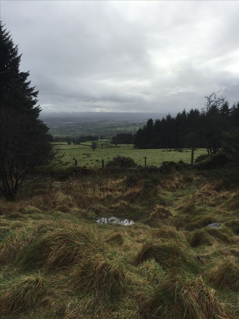 English Forest Aesthetic, Medieval Ireland Aesthetic, Ireland Winter Aesthetic, Dark Ireland Aesthetic, Northern England Aesthetic, Northern Europe Aesthetic, Northern Ireland Aesthetic, Rainy Ireland, Ireland Core