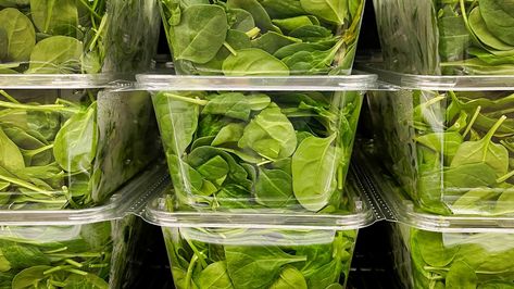 The Unique Way To Store Spinach For Added Freshness How To Store Spinach, Garden Design Ideas On A Budget, Fresh Appetizers, Salad Mixes, New Year's Eve Appetizers, Vegetable Crisps, Food Handling, Eating Alone, Vegetable Storage