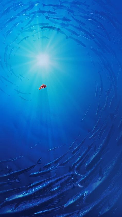 Nemo From Finding Dory Wallpaper Nemo Wallpaper, Disney Finding Nemo, Images Disney, Wallpaper Disney, Disney Background, Disney Iphone, Iphone 6 Wallpaper, Disney Phone Wallpaper, Finding Dory