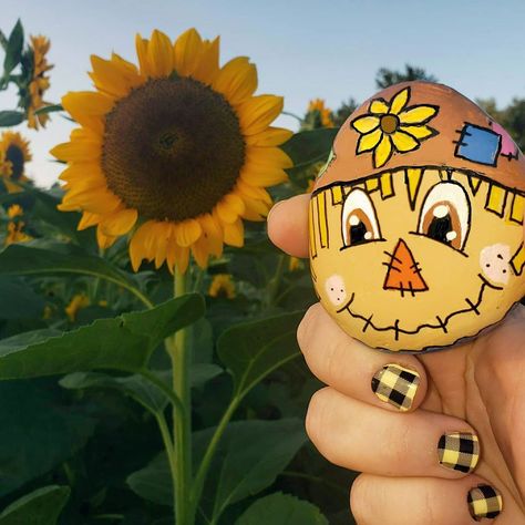 Creativity for Days ☀️ on Instagram: “Scarecrow painted rock🌻 #halloweenrocks #scarecrowrocks #scarecrow #halloween #sunflowerfield #sunflower #paintedrock #paintedrocks…” Fall Painted Rocks, Scarecrow Painting, Scarecrow Halloween, Halloween Rocks, Painted Rocks Diy, Kindness Rocks, Rock Painting Designs, Painting Designs, Autumn Painting