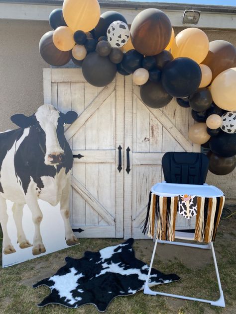 Cow Print Party Centerpieces, Cow Party Backdrop, Cowhide Birthday Decor, Cow 2nd Birthday Party Boy, Brown Cow Birthday Party, Cow Theme 1st Birthday, Cow First Birthday Party, Cow Theme First Birthday Pictures, One Year Old Cow Birthday Party