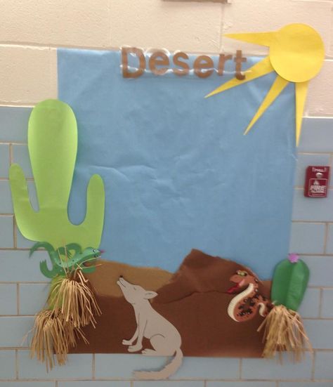 Desert Door Decorations Classroom, Desert Bulletin Board, Desert Classroom, Zoomerang Vbs, Cactus Decorations, Desert Crafts, Biome Project, Desert Habitat, Desert Project