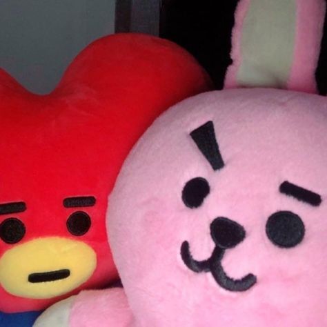 Bt21 Tata And Cooky, Shooky Bt21 Aesthetic, Shooky Bt21, Cooky Bt21, Tata Bt21, Cute Squishies, Bts History, Bts Girl, + Core + Aesthetic