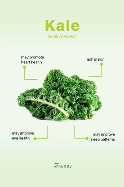 Of all the super healthy greens, kale is king. It is definitely one of the most nutritious plant foods in existence, so don't forget to grab some kale on your next grocery store trip! #decemberproduce #kale Healthy Food Content Ideas, Kale Benefits Health, Kale And Spinach, Fresh Fruit Recipes, Food Content, Super Greens, Benefits, Reduce Food Waste, Food Facts