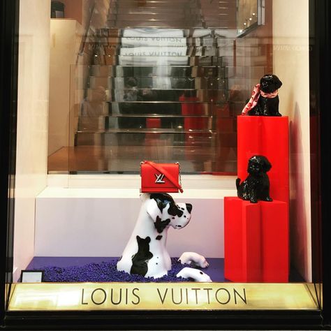 LOUIS VUITTON, Rome, Italy, “Everyone thinks they have the best dog... And none of them are wrong”, photo by Juanjo Insa, pinned by Ton van der Veer Dog Window Display, Dog Window, Year Of The Dog, Store Design Boutique, Window Display Design, Small Lanterns, Shop Front Signage, Retail Windows, Store Windows