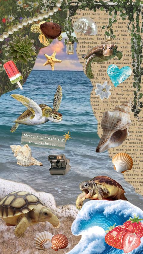 turtles Turtle Collage, Collage Gifts, Vsco Aesthetic, Fukushima, Sea Turtles, Underwater World, Sea Turtle, Turtles, Tortoise