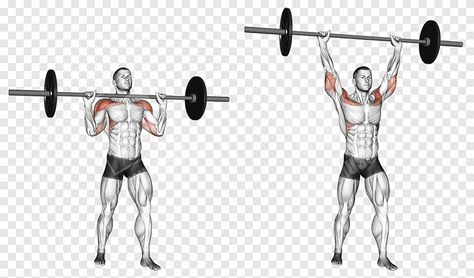 Barbell Shoulder Press The barbell should be placed on a power rack so that it is directly in front of you. The bar should be easy to lift off the rack, without bending too low or standing on tip-toes. Your feet should be shoulder-width apart. Keep your knees straight and your hips open. The barbell should be held in […] Barbell Shoulder Press, Barbell Press, Military Press, Barbell Workout, Bar Workout, Hip Openers, Shoulder Press, Lift Off, Power Rack