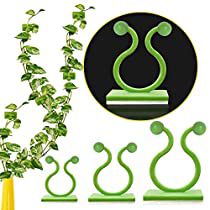 Check this out! Plant Climbing Wall, Wall Climbing Plants, Garden Plant Supports, Plant Cages, Plant Ties, Wall Clips, Plant Clips, Best Plants, Climbing Wall