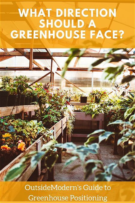 Creating A Greenhouse, Best Location For Greenhouse, Setting Up Greenhouse, Greenhouse Placement In Yard, Green House Set Up Inside, Small Greenhouse Set Up Inside, Greenhouse Set Up, Greenhouse Orientation, Greenhouse Must Haves