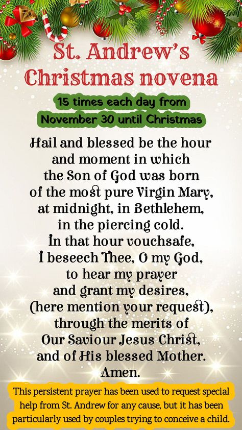 Christmas Novena Prayer, St Andrew Christmas Novena, St Andrew Novena Christmas, Novenas Catholic, Saints Quotes, Christmas Prayer, Saint Andrews, Novena Prayers, St Andrew